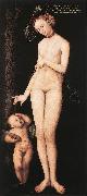 CRANACH, Lucas the Elder Venus and Cupid dsf oil on canvas